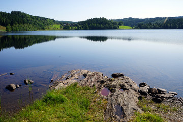 Lake and forest