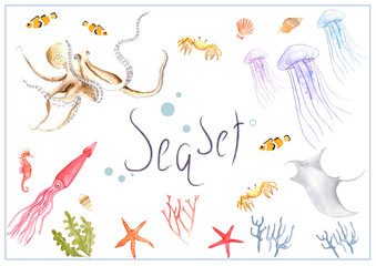 Naklejka premium watercolor sea inhabitants