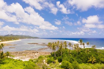 The rocky coast of a tropical island. Siargao, Philippines. Seascape with palm trees in sunny weather, aerial view. Coconut trees by the sea.