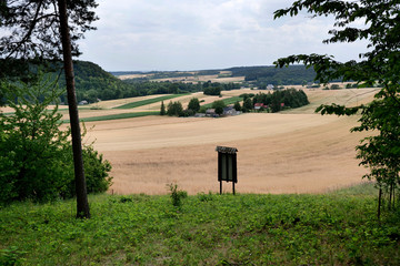 Poranne letnie słońce oświetla  pola dojrzewających zb&oacute;ż  w krajobrazie wiejskim