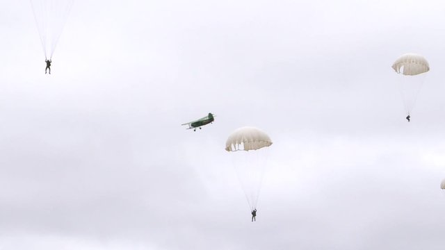 Military parachutists jump from the plane. Jumping with a parachute at low altitude