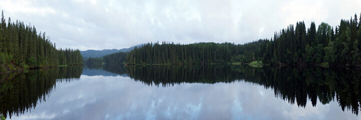 Fototapeta na wymiar Lake and forest