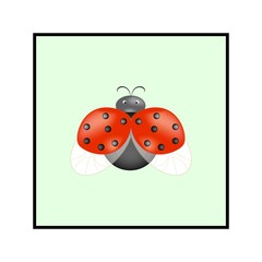 Ladybird isolated. Illustration ladybug in green square. Cute colorful sign red insect symbol spring, summer, garden. Template for t shirt, apparel, card, poster Design element Vector illustration.