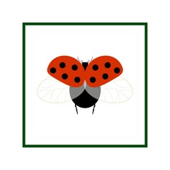 Ladybird isolated. Illustration ladybug in white square. Cute colorful sign red insect symbol spring, summer, garden. Template for t shirt, apparel, card, poster Design element Vector illustration.