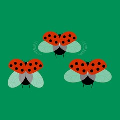 Obraz na płótnie Canvas Ladybird card. Illustration ladybug. Cute colorful sign red insect symbol spring, summer, garden. Template for t shirt, apparel, card, poster, etc. Design element Vector illustration.