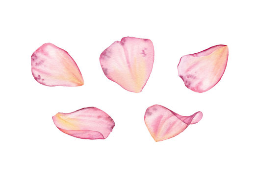 Pink Petals Images – Browse 4,397,346 Stock Photos, Vectors, and Video