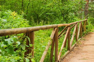 bridge in a beautiful forest over a spring