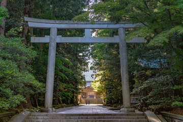 新潟 弥彦神社 参道風景