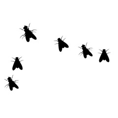 vector, isolated, silhouette of flying flies, on a white background