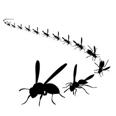  silhouette of a flying wasp, bee, on a white background