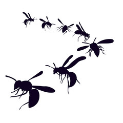  silhouette of a flying wasp, bee, on a white background