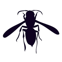 silhouette of a wasp, bee, on a white background