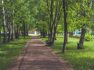 Fototapeta na wymiar path in the park