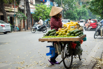 Vendor with bike of fruits on Hanoi street