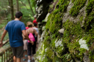 Naklejka na ściany i meble Closeup of moss in Bushkill falls, Pennsylvania with a trekker family in the background