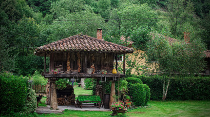 Fototapeta na wymiar Horreo, old wooden building used as elevated granary. Cangas de Onis, Asturias, Spain