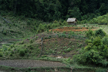 Small house at Laos village