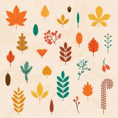 Autumn leaves set. Flat design modern vector illustration concept.