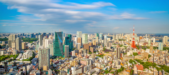 Panorama view of Tokyo city skyline and Tokyo Tower building in Japan