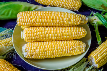 pumpkin corn on the table