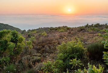 Beautiful colorful sunset over the mountain range and pine tree forest. Nature landscape. fogy sky with some orange reflections.