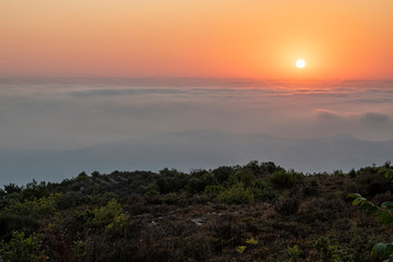 Beautiful colorful sunset over the mountain range and pine tree forest. Nature landscape. fogy sky with some orange reflections.
