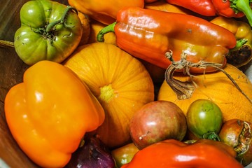 Closeup of Bright Multicolored organic Autumn Vegetables including pumpkins bell peppers heirloom tomatoes