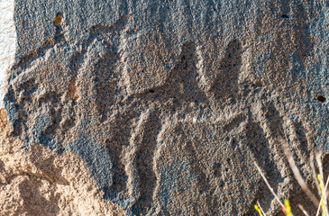 ancient cave paintings. petroglyphs in the wild.