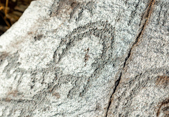 ancient cave paintings. petroglyphs in the wild.