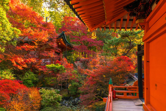 Japan autumn image. Bishamon-do temple in Kyoto city