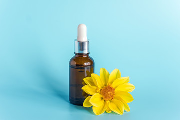 Essential oil in brown dropper bottle and yellow flower on blue background. Concept natural organic beauty cosmetics product