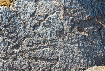 ancient cave paintings. petroglyphs in the wild.