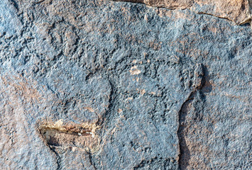 ancient cave paintings. petroglyphs in the wild.