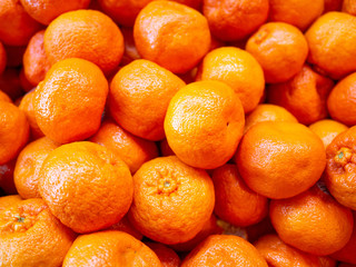 Bunch of fresh oranges mandarins for sale in the market close up top view