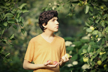 Naklejka premium happy boy with apple smile wink on apple tree green garden background
