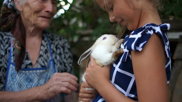 Grandmother and two granddaughters on a rabbit farm are holding a small white rabbit