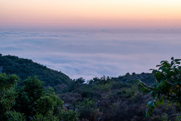 Beautiful colorful sunset over the mountain range and pine tree forest. Nature landscape. fogy sky with some orange reflections.