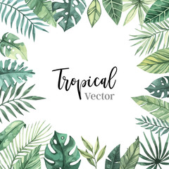 Watercolor vector illustration. Summer tropical frame with banana leaves, monstera and palm leaves. Perfect for wedding invitations, prints, postcards, posters © Kate Macate