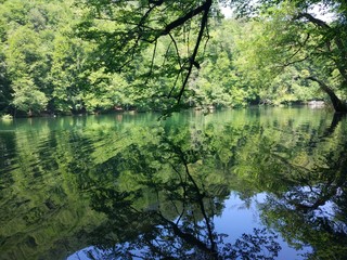 Fototapeta premium lake in the forest 