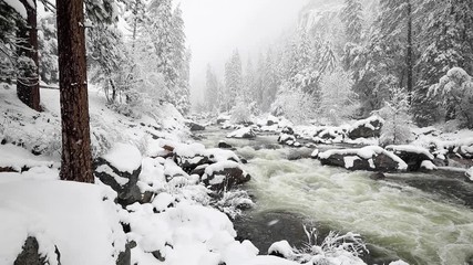 A snowy winter landscape in Yosemite National Park - Powered by Adobe