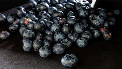 Blueberries in the black. Calgary, Alberta, Canada