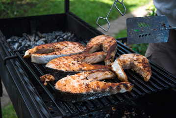 Salmon preparation process on wooden grill. Grilled fish steaks on fire.