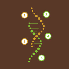 Fototapeta premium Science template, wallpaper or banner with a DNA molecules. Vector illustration.