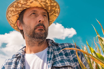 Portrait of serious farmer in corn maize field