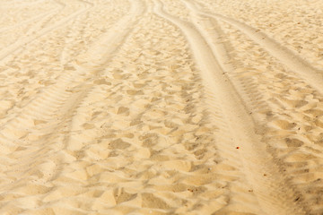 Wheel car mark on sand