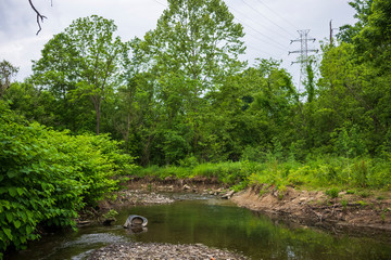 Trash left behind in a creek in South Park, Pennsylvania.