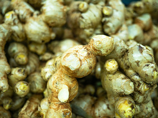 Bunch of fresh yellow gingers for sale in the market top view
