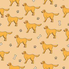 Seamless pattern with cartoon labrador retriever dog, bones and paws