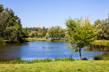 Scenic view of the park in the center of the big city in the summer. With a lagoon in the middle and green trees. In the atmosphere of evening light
