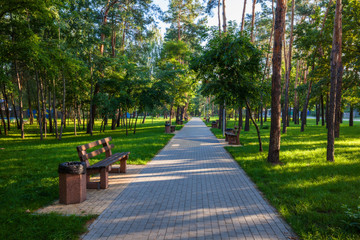 Green city park in sunny summer day